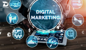 Our SEO and Content Writing Services