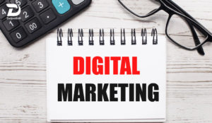 How Can SEO and PPC Work Together to Improve Your Website Efficiency?