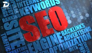 Our Portfolio: SEO for Small Business and Developed Companies