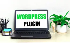 Additional features to your website with WordPress plugin development
