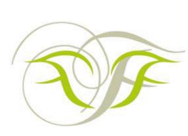 OCI DMAP Grant: Digital Modernization & Adoption Plan for SMEs - DeljooSoft 9 Nach