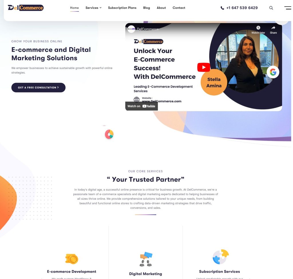 E-commerce Developer