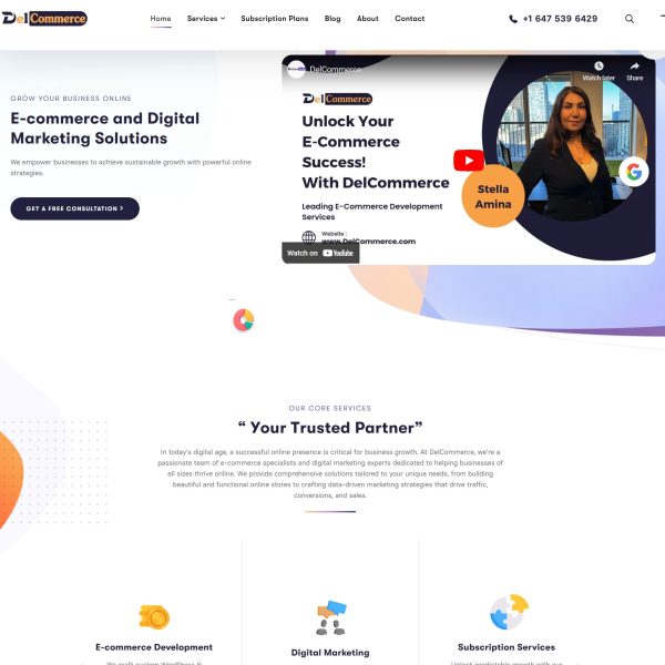 E-commerce Developer